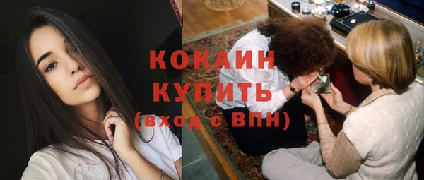 твердый Арсеньев
