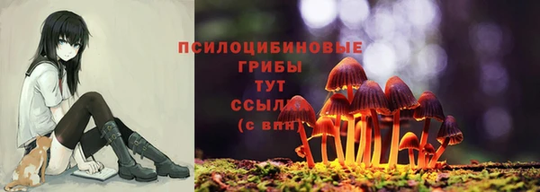 mix Аркадак