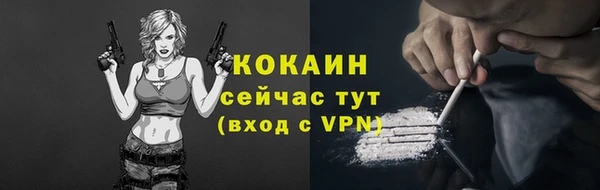твердый Арсеньев