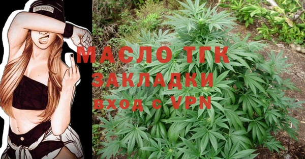 твердый Арсеньев